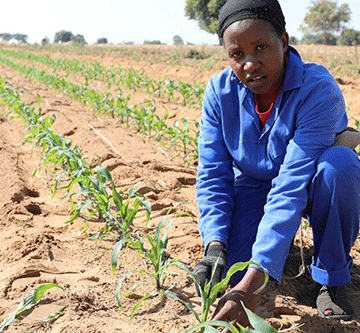 Schlettwein: Agri sector must be better resourced