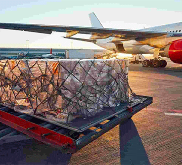 cargo Air cargo demand sustains moderate growth