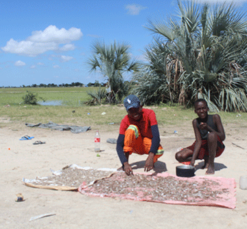 Fish aplenty in Omusati 