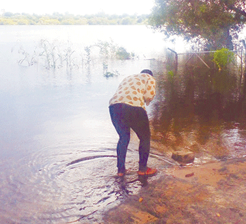 Namibia safe from cholera outbreak