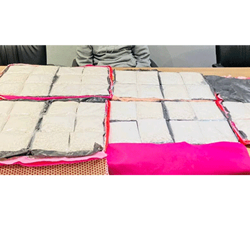 Alleged cocaine smuggler remanded in custody