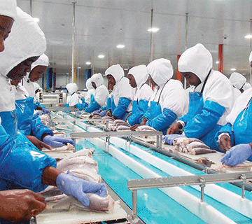 New mechanism promotes decent work in fishing