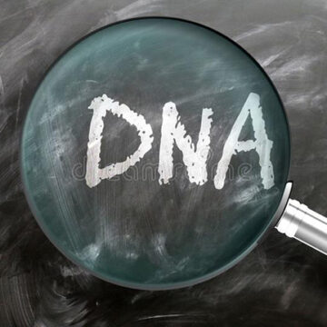 Rape accused urked by pending DNA results