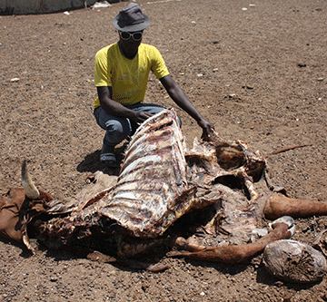 Imminent drought threatens food security…farmers advised to be innovative to avoid further losses