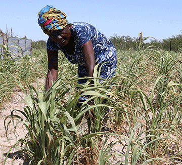 Farmers fear drought amidst floods