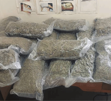 Drug bust accused remanded in custody