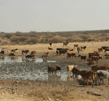 Agriculture and Namibian ecosystems 