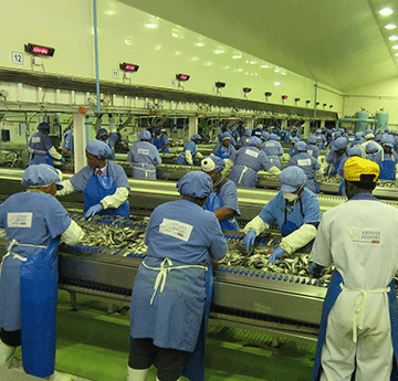 Etosha U-turns on retrenchment plan