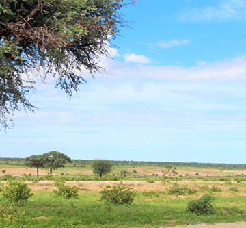 Public warned against farmland grabbing