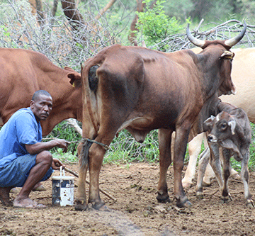 Oshikuku agri-expo to empower local farmers 