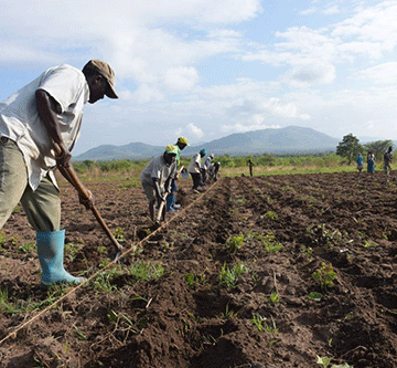 Mixed feelings over agriculture’s minimum wage