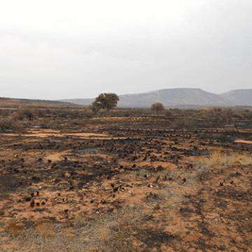 Southern farmers count veld fire losses 