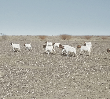 Farmers urged to claim for agricultural interventions