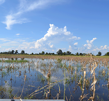 Drought-stricken farmers called to prepare crop fields …as rainy season looms