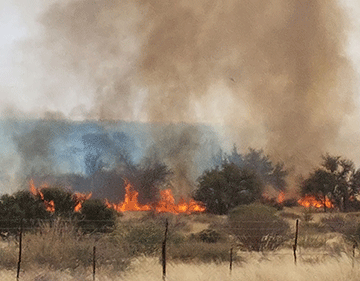 Rehoboth farmers rise through the ashes