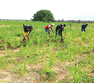 Irimari urges farmers to utilise agricultural subsidies