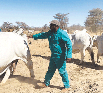 Oiled land ministry machinery delivers farms in two months