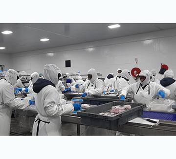 Merlus injects N$154m  into local fisheries