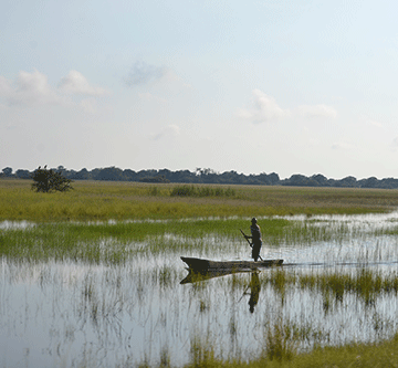 Illegal fishing draws minister’s ire