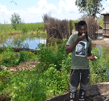 Zambezi floods a blessing in disguise