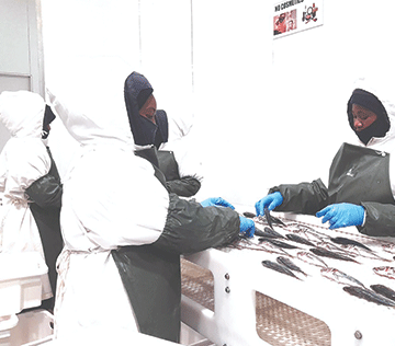 Fishing sector employers’ compliance at 67%