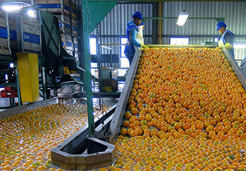 Food industry offers low hanging fruit – !Gawaxab