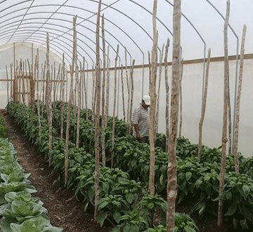 food Higher food prices loom