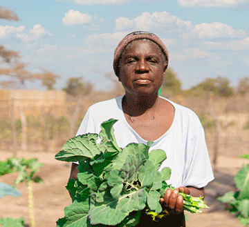 Capricorn and WFP to host food security workshop