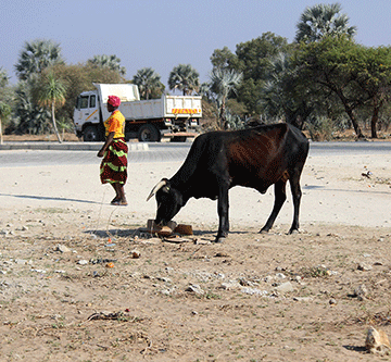 600 000 Namibians face food insecurity