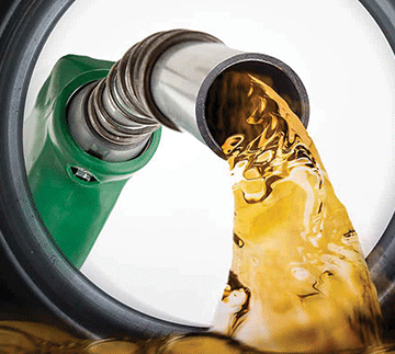 Minimal February fuel price adjustment