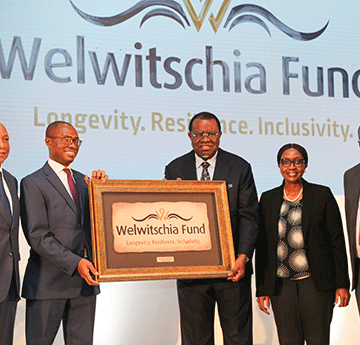 No budget allocation for Welwitschia Fund