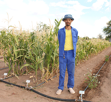 Ommamas garden grows vegetables, hope