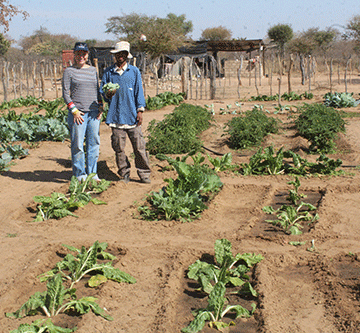 Goasoma garden changes San livelihoods