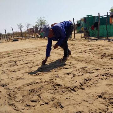 gardens 2 Omaheke councillors setting up gardens