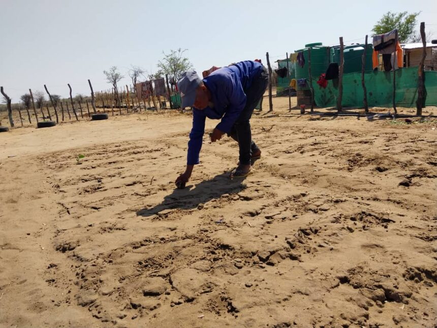 Omaheke councillors setting up gardens