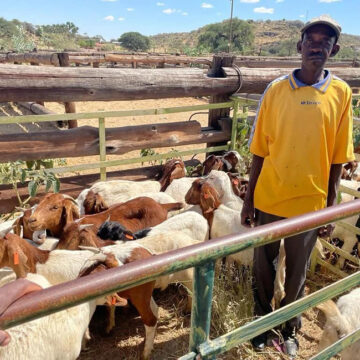 Ovitoto farmers benefit from goat scheme