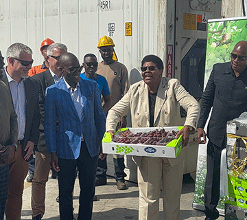 First grapes consignment exported to Europe