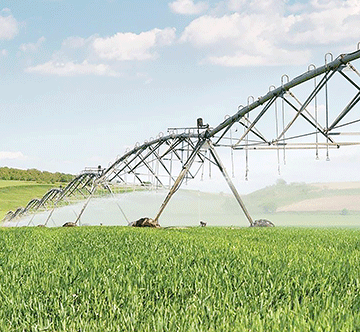 Green schemes’ time to shine