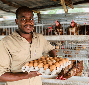 Haitula: Kavango West poultry king 