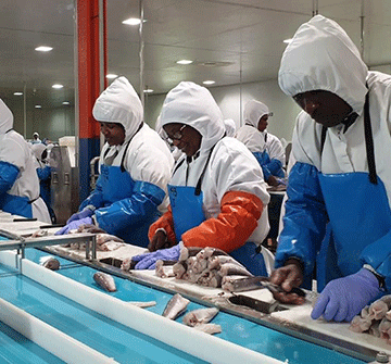 Government catches N$110 million hake windfall