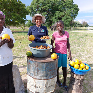 Sustainable harvesting kits for conservancies