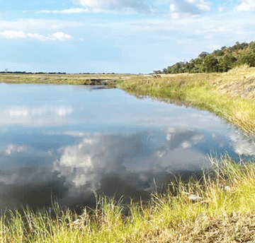 MET jumps to rescue desperate hippos…as streams dry up