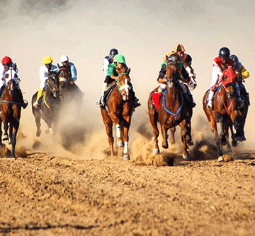 Thoroughbreds set to dazzle Gobabis