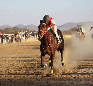 horse racing 2 Legendary horses scoop top honours at July Winter Cup