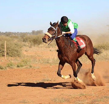 horse racing Imperial Ruby, Lady Diamond triumph at July handicap