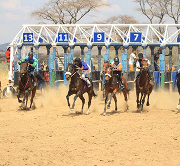 Kaapstad wins horse race