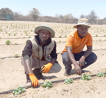 From police officer to horticulture farmer