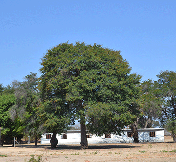 Sachinga gets community hostel to accommodate needy learners