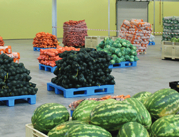 Fresh produce smuggling irks AMTA