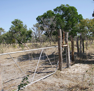 Govt removes over 70km of illegal fencing